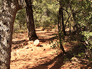 Fay Canyon Trail