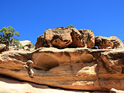 Cohab Canyon Trail Rocks