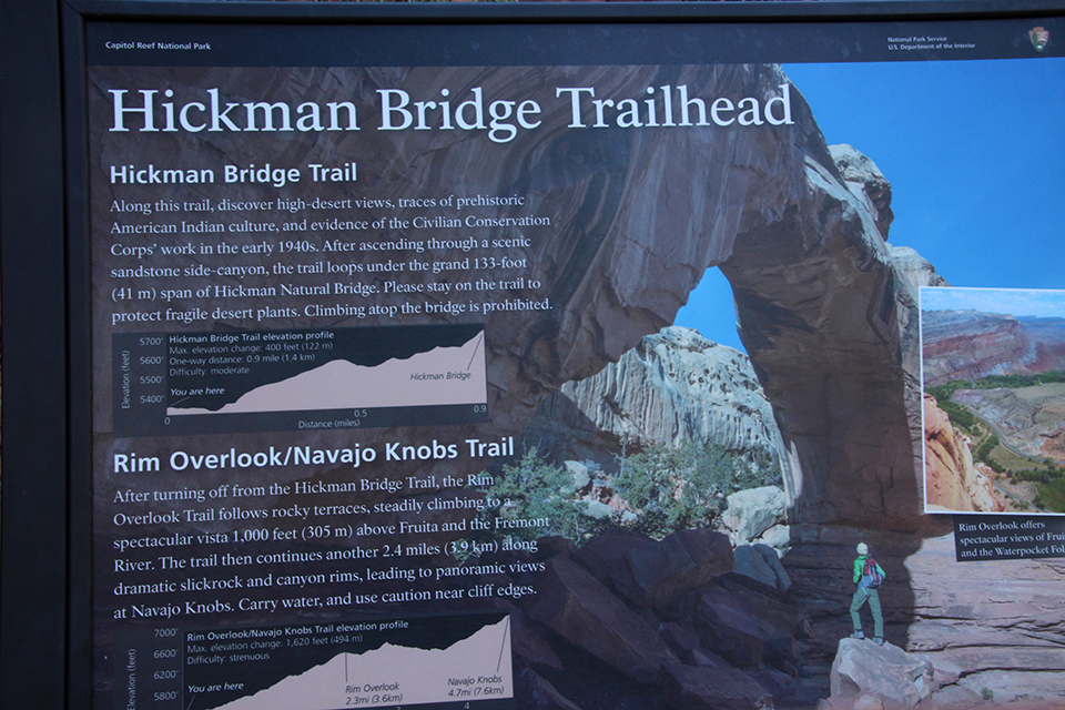Hickman Bridge Trail photo
