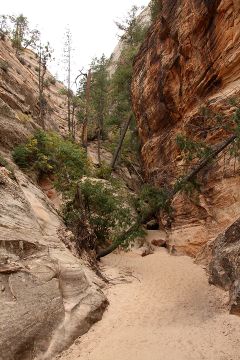 Hidden Canyon Hike