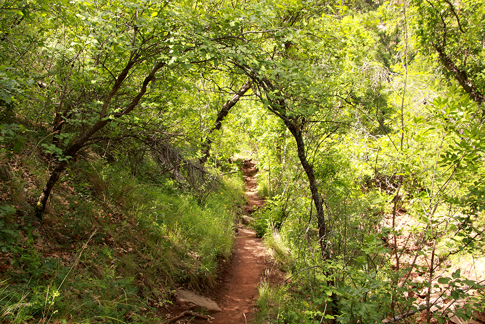 Boynton Canyon