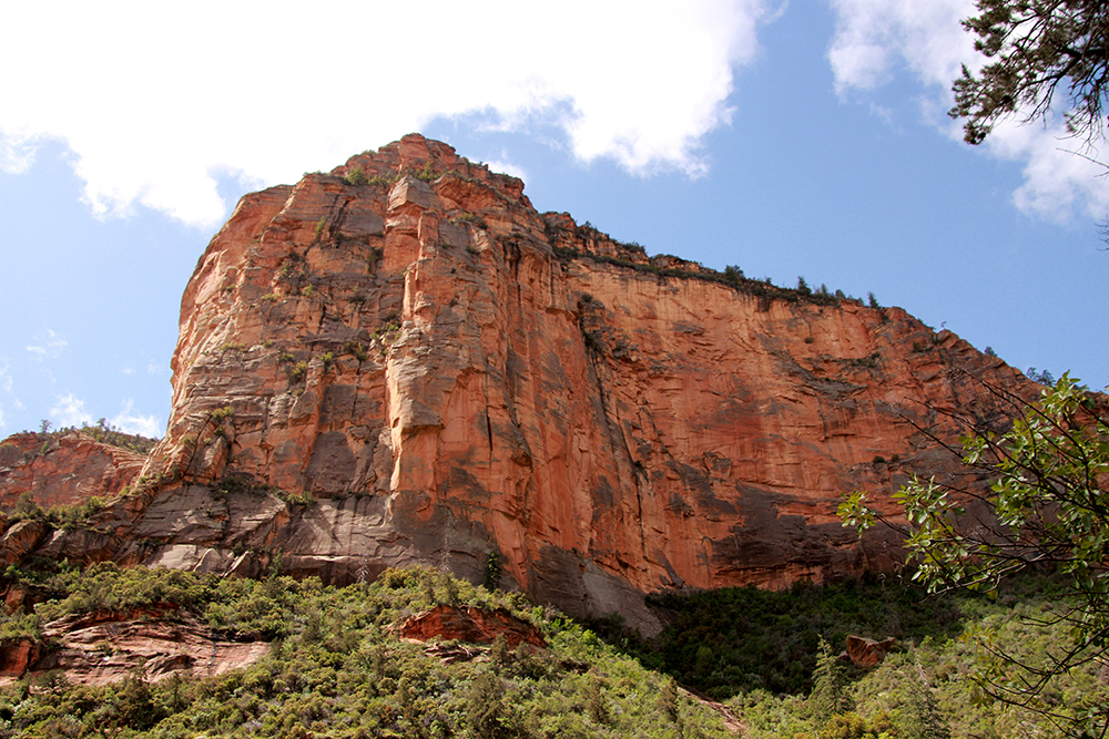 Boynton Canyon