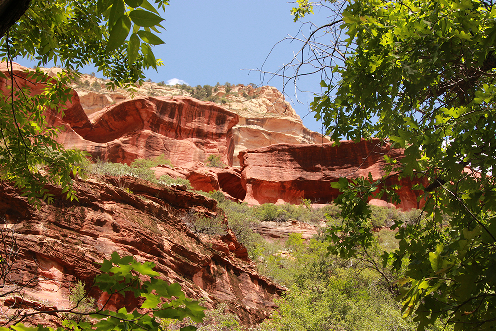 Boynton Canyon