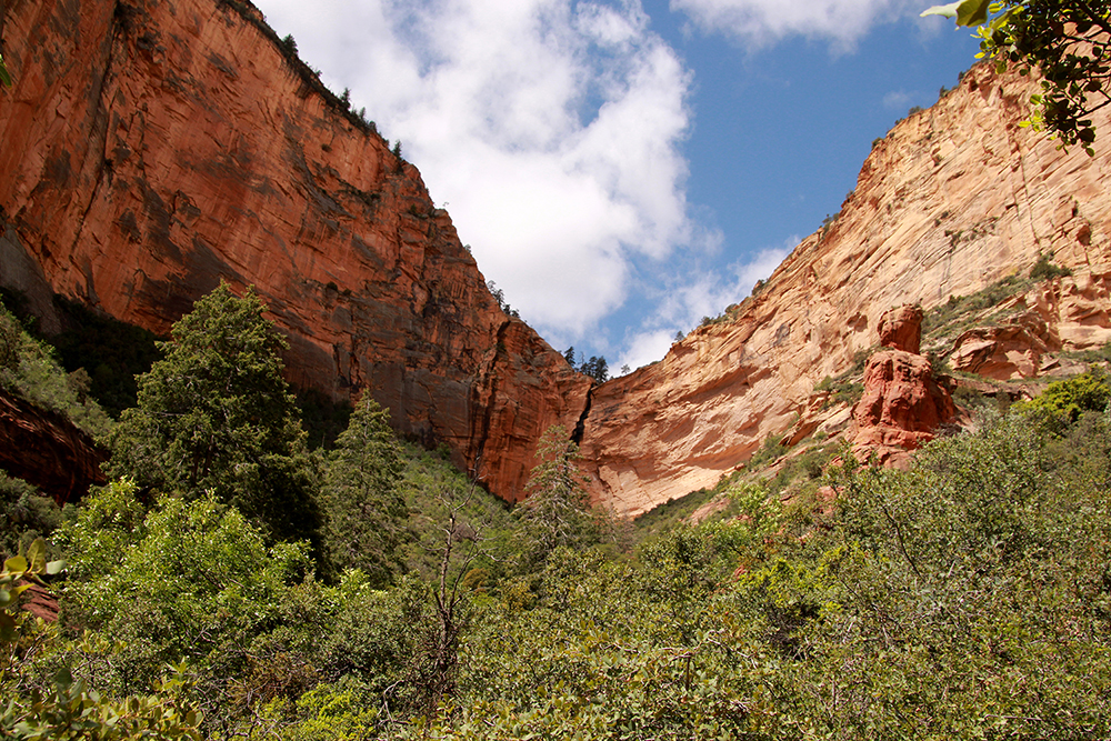 Boynton Canyon