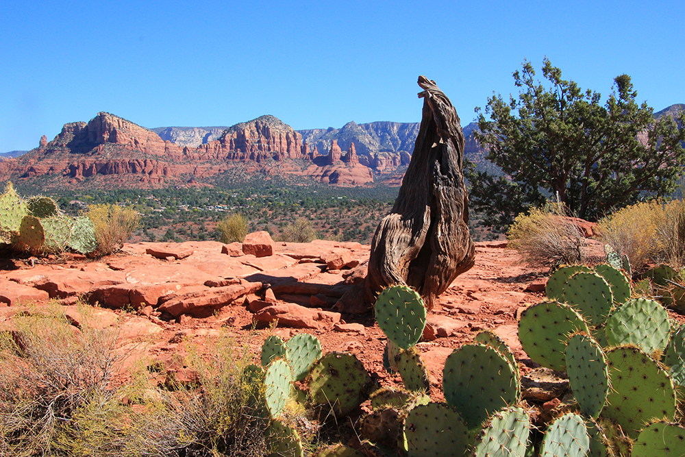 Cathedral Rock