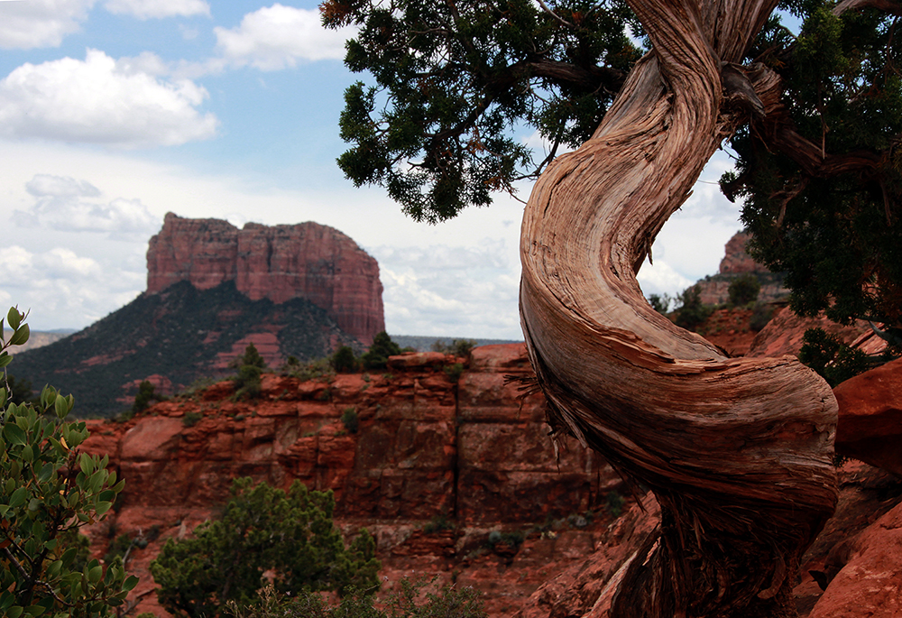 Cathedral Rock