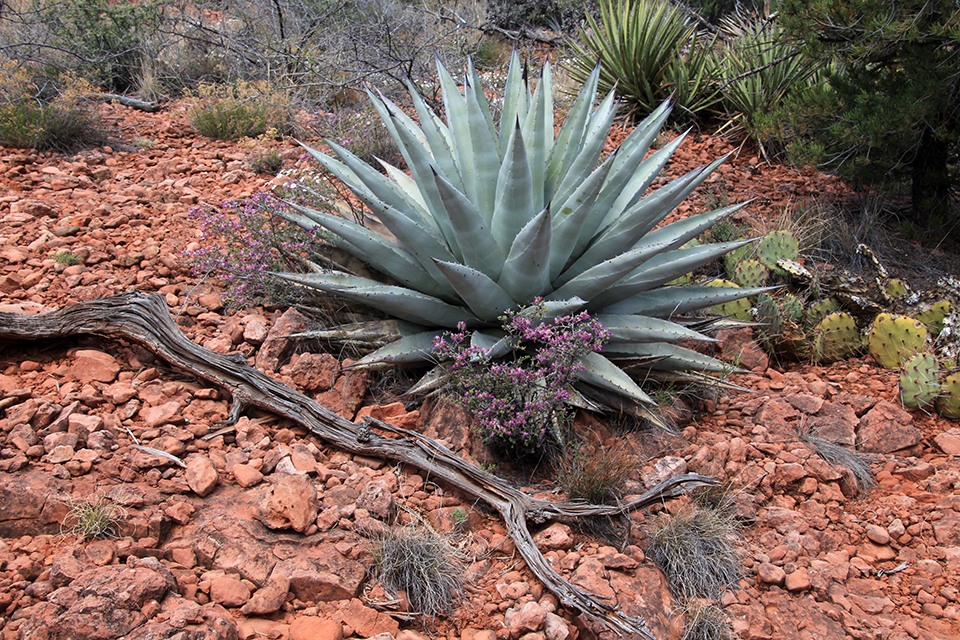 Jim Thompson Trail