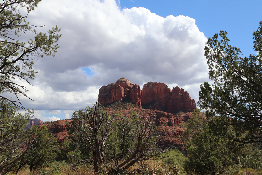 Secret Slickrock Trail