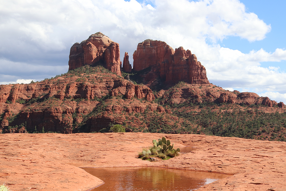 Secret Slickrock Trail