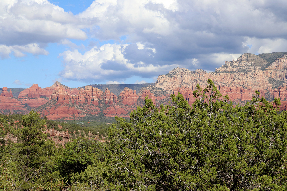 Secret Slickrock Trail