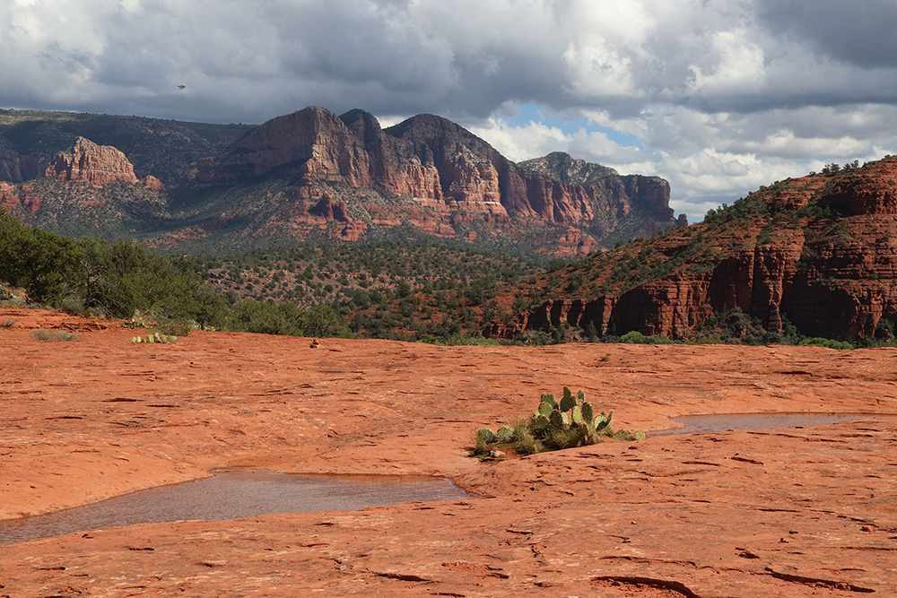 Secret Slickrock Trail