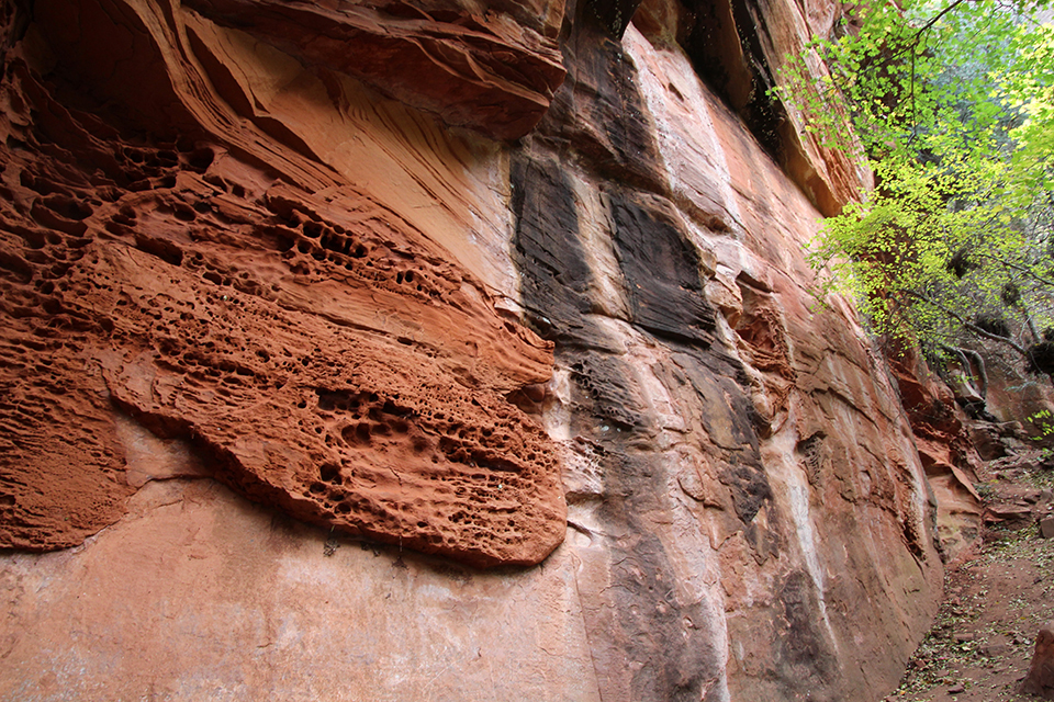 West Fork Hike