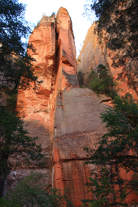 West Fork Hike