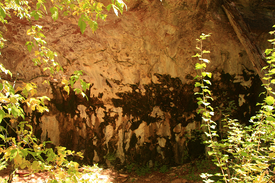 West Fork Hike