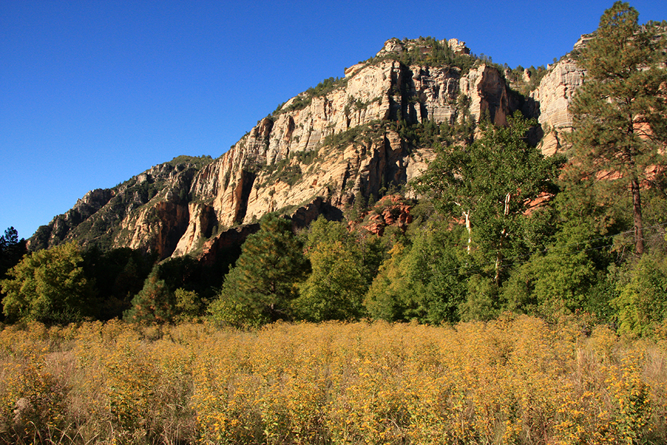 West Fork Hike