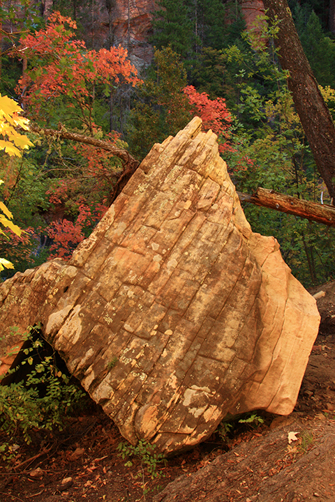 West Fork Hike