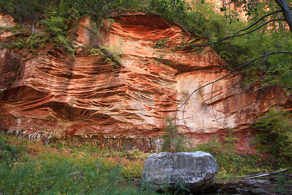 West Fork Hike