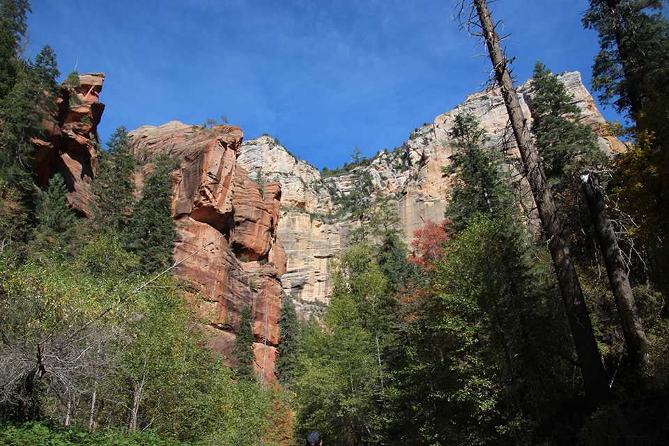 West Fork Hike