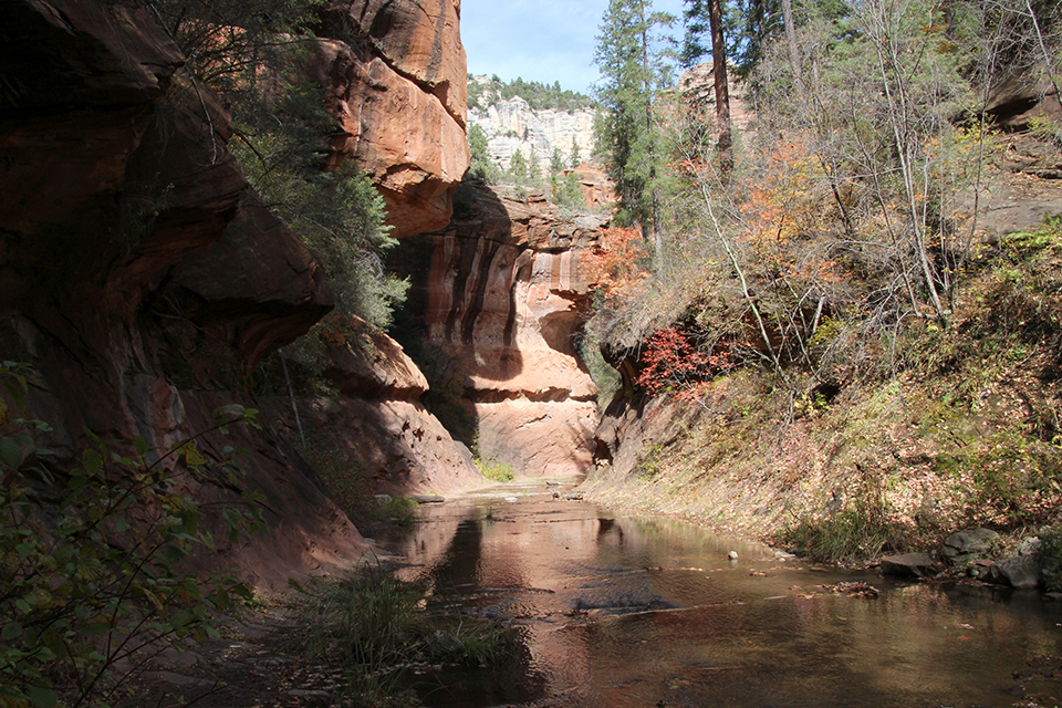 West Fork Hike