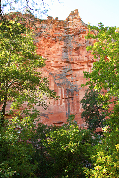 West Fork Hike