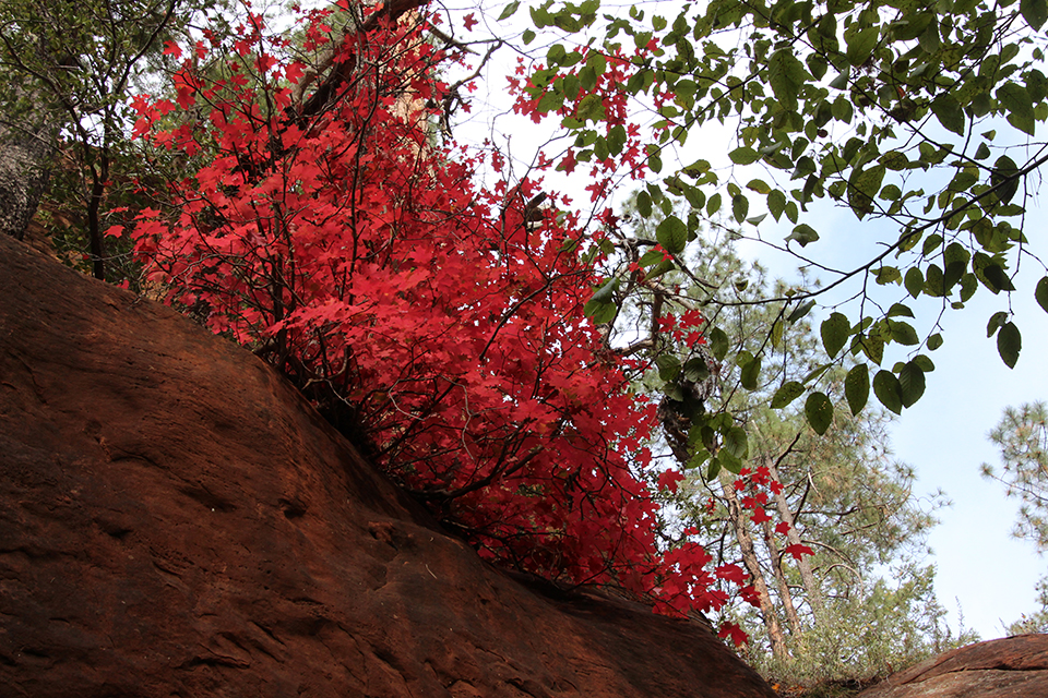 West Fork Hike