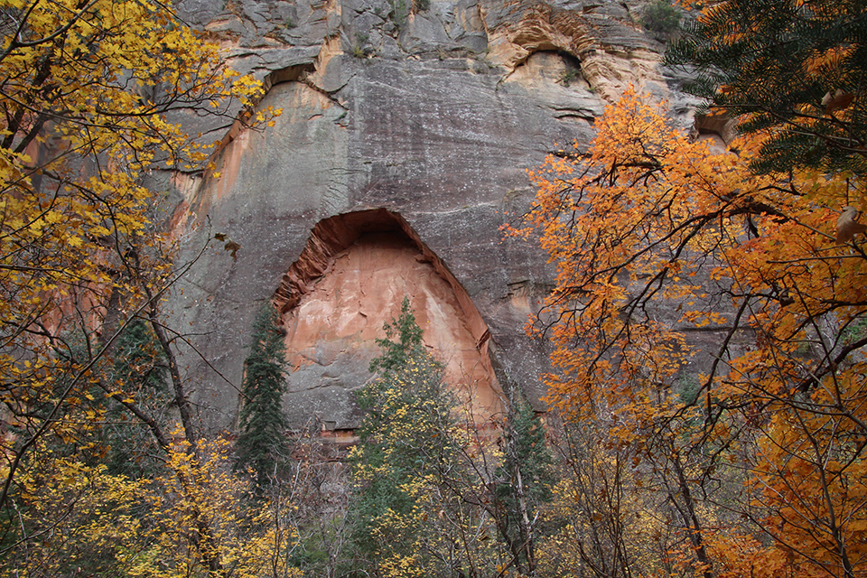 West Fork Hike