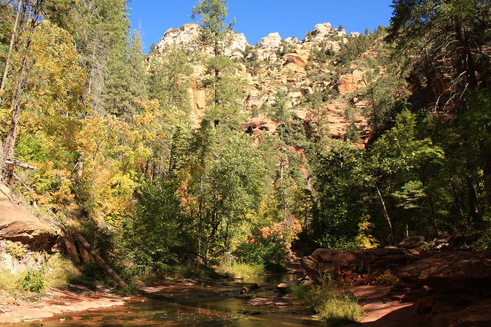 West Fork Hike