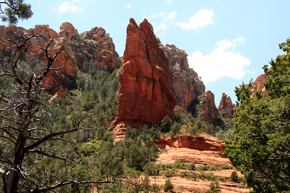 wilson Canyon