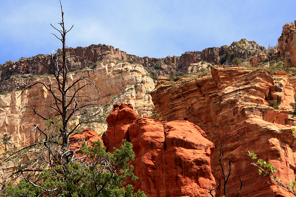 wilson Canyon