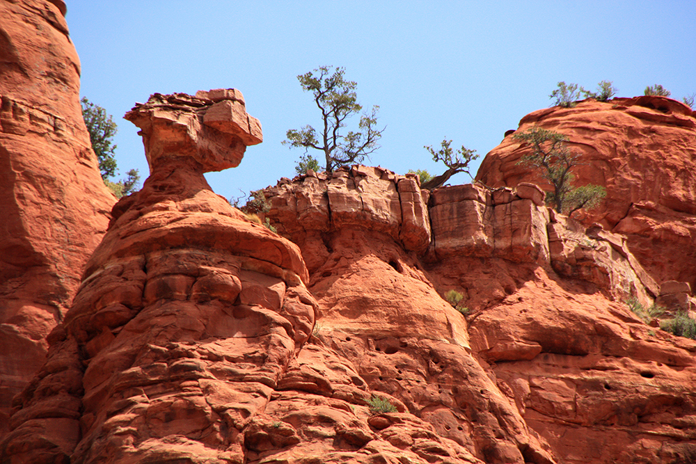 wilson Canyon