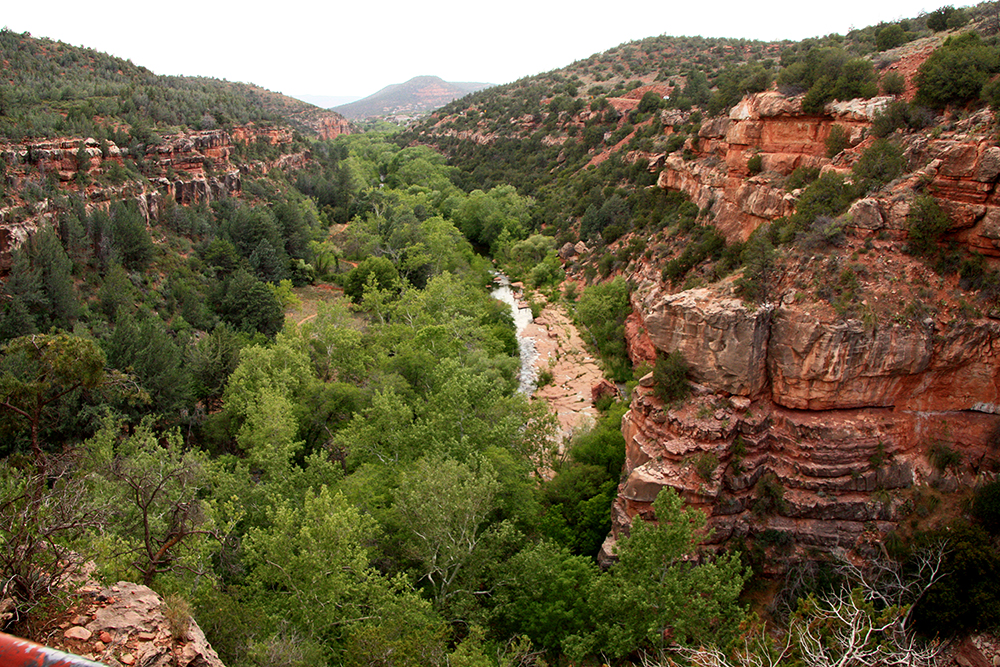 wilson Canyon