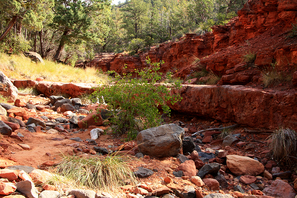 Wilson Canyon