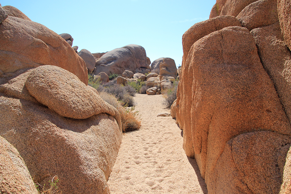 Arch Rock Trail