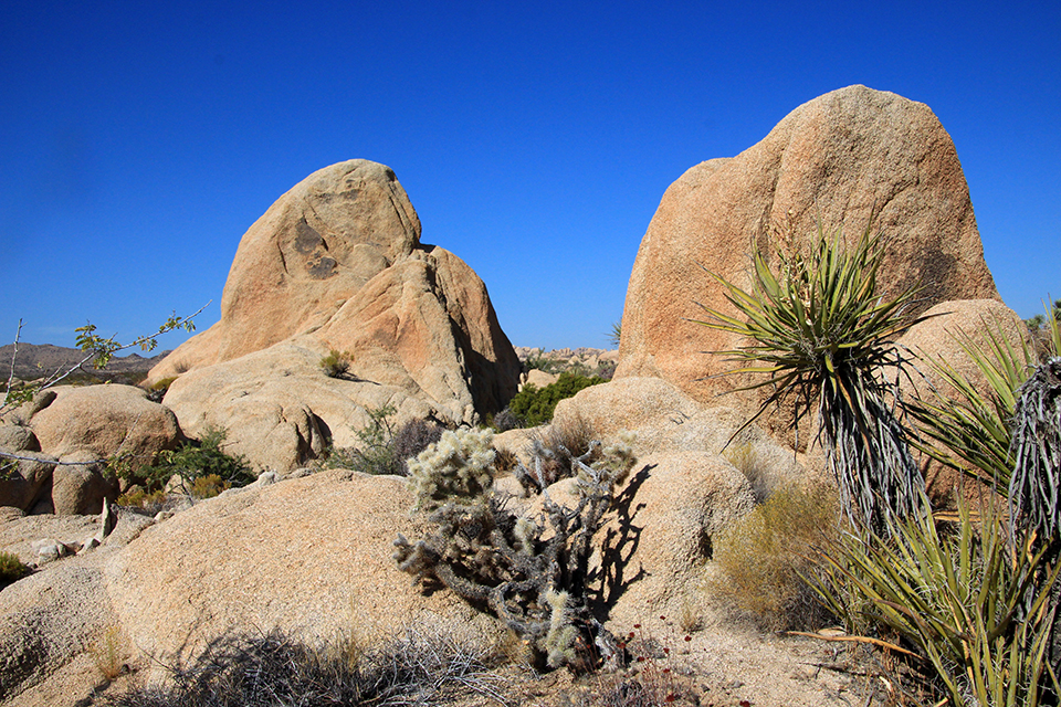 Arch Rock Trail