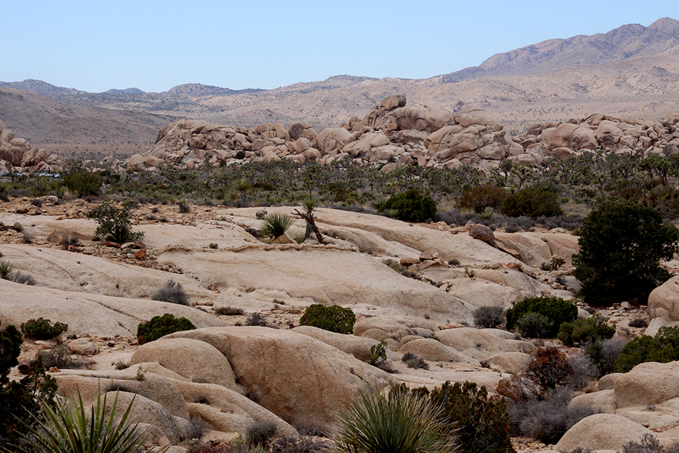 Desert People