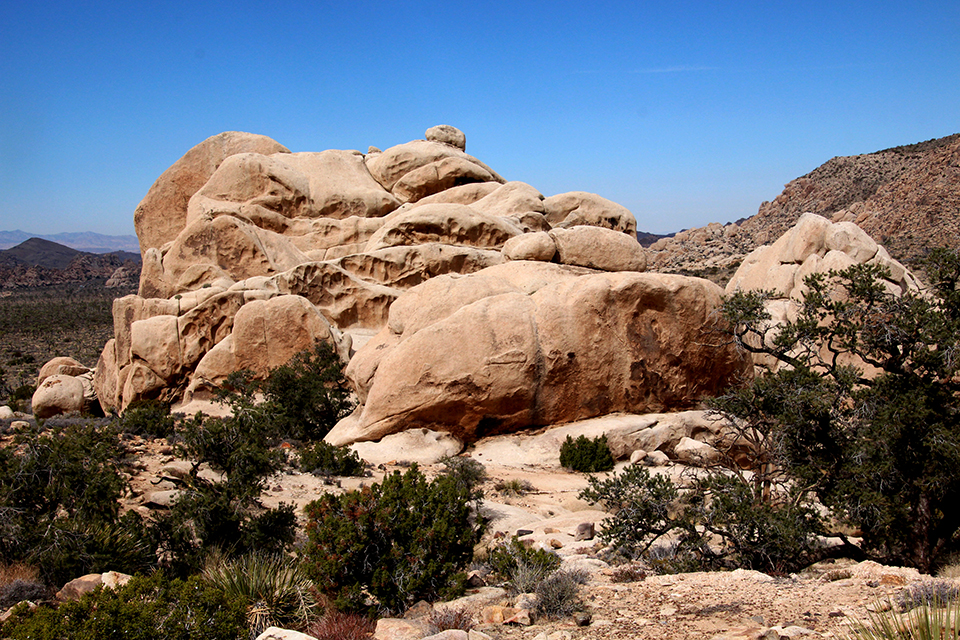 Desert People