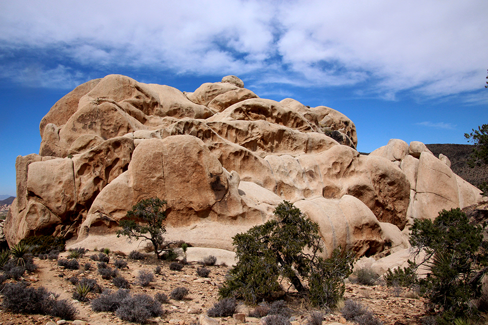 Desert People