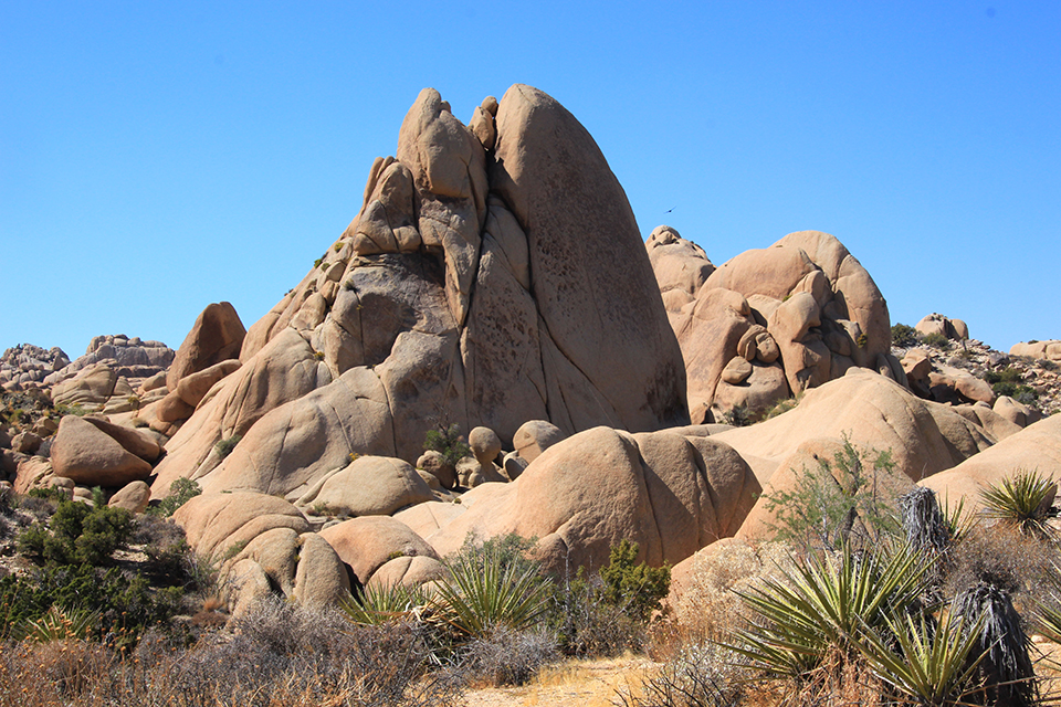 Skull Rock