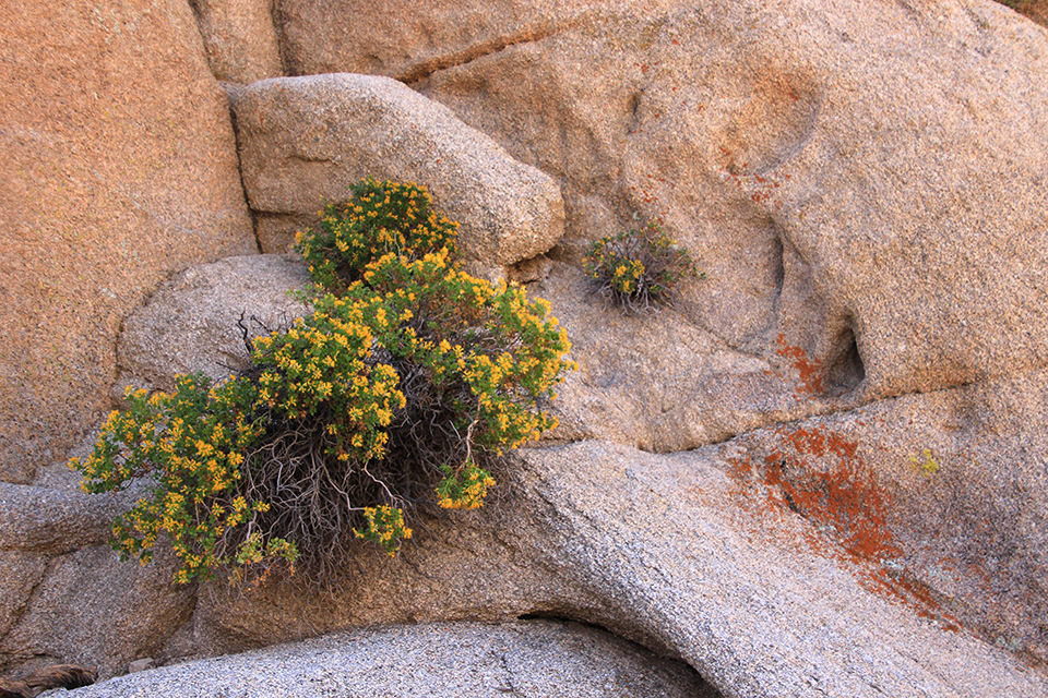 Skull Rock