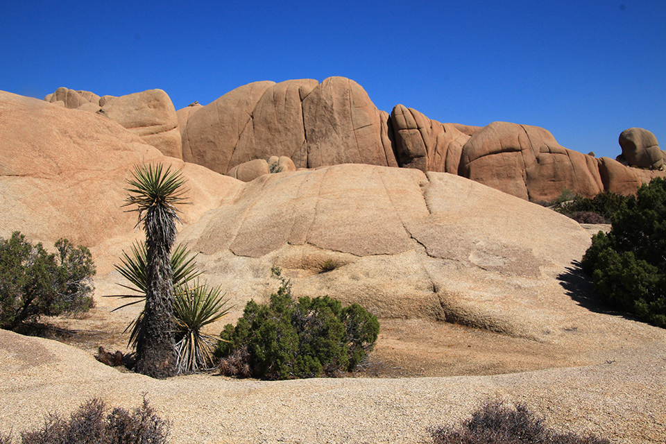 Skull Rock