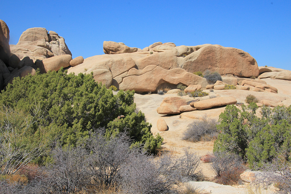 Skull Rock