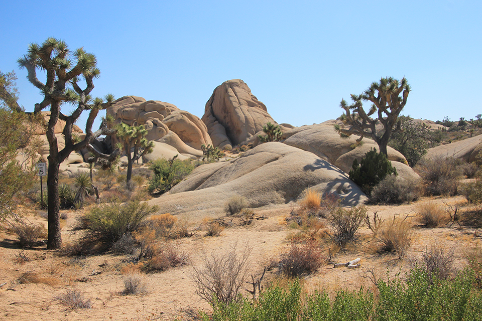 Skull Rock