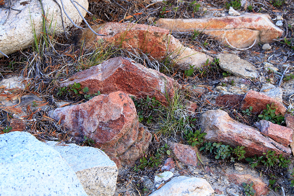 Little Lakes Valley