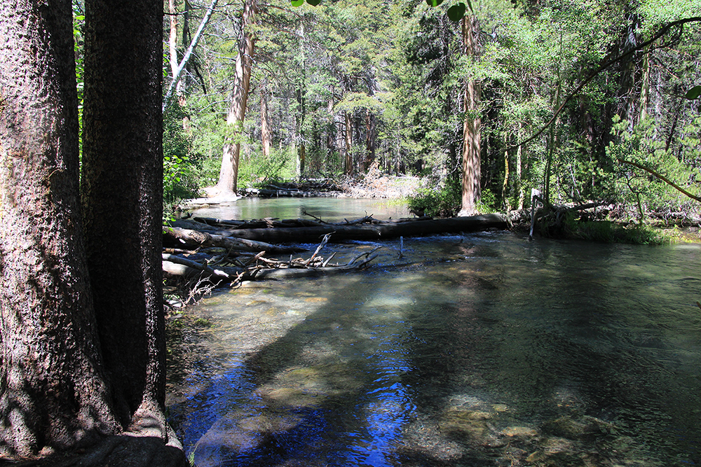 Parker Lake