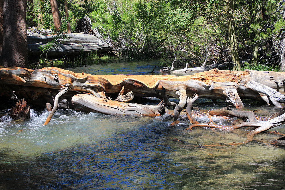 Parker Lake