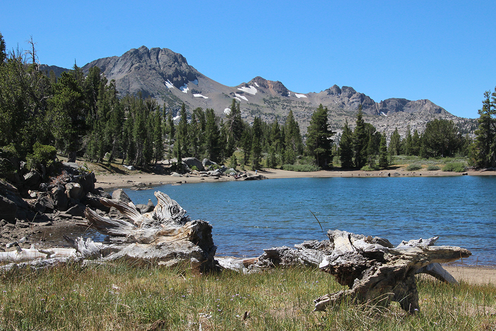 Frog Lake