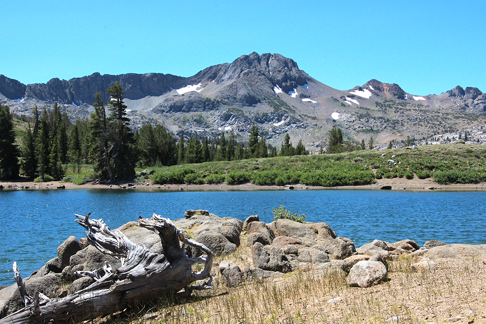 Frog Lake