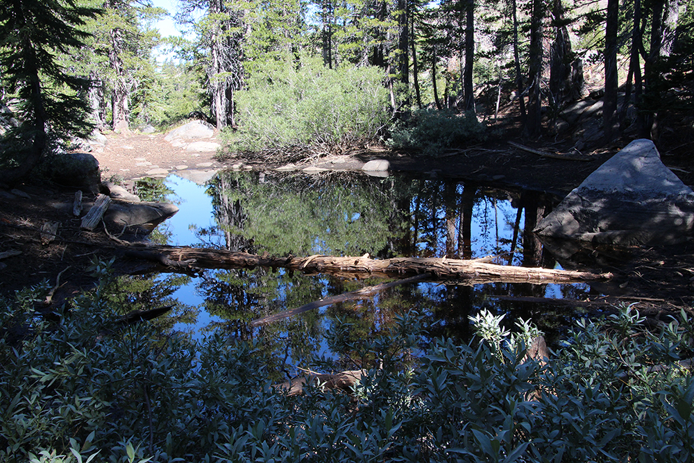 Frog Lake