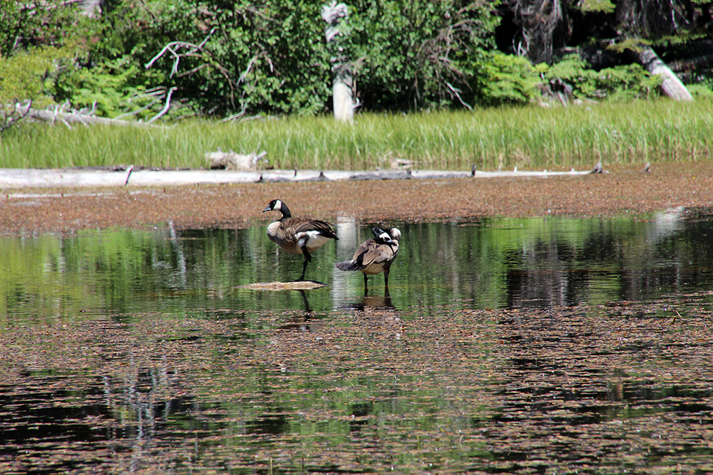 Lake Margaret