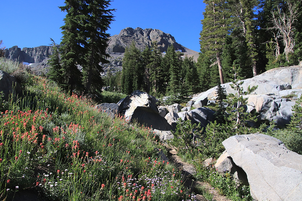 Winnemucca Lake